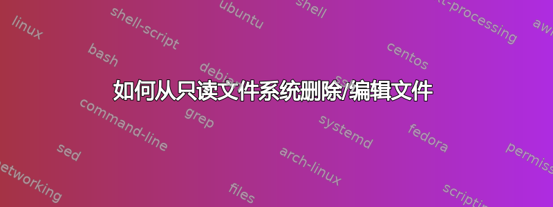 如何从只读文件系统删除/编辑文件