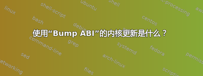 使用“Bump ABI”的内核更新是什么？