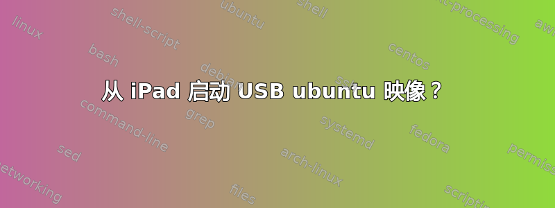 从 iPad 启动 USB ubuntu 映像？