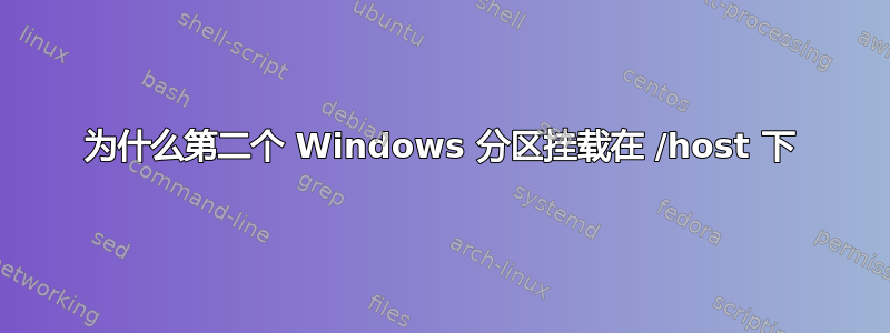 为什么第二个 Windows 分区挂载在 /host 下