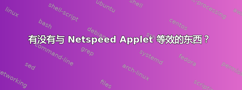 有没有与 Netspeed Applet 等效的东西？