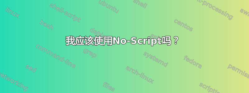 我应该使用No-Script吗？