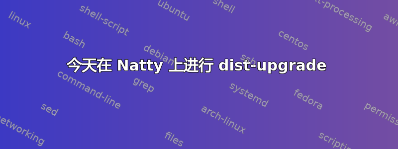 今天在 Natty 上进行 dist-upgrade