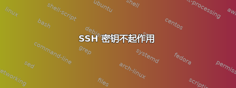 SSH 密钥不起作用