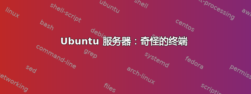 Ubuntu 服务器：奇怪的终端