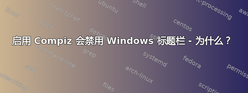 启用 Compiz 会禁用 Windows 标题栏 - 为什么？