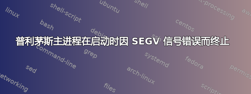 普利茅斯主进程在启动时因 SEGV 信号错误而终止 