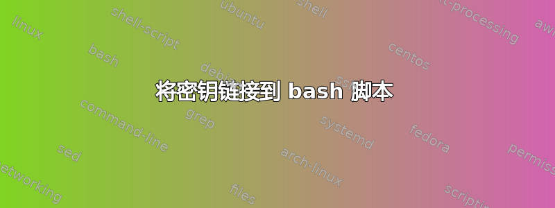 将密钥链接到 bash 脚本