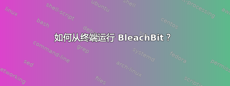 如何从终端运行 BleachBit？