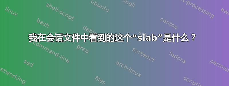 我在会话文件中看到的这个“slab”是什么？