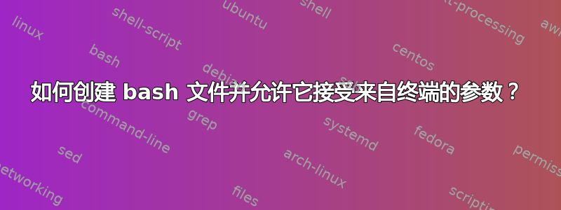 如何创建 bash 文件并允许它接受来自终端的参数？