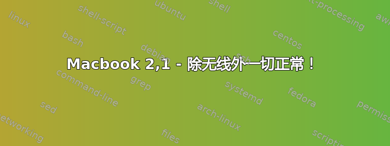 Macbook 2,1 - 除无线外一切正常！