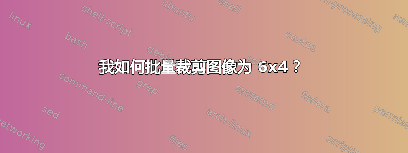 我如何批量裁剪图像为 6x4？