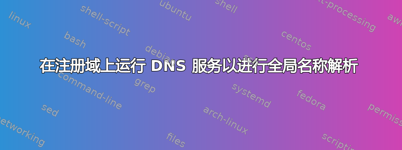 在注册域上运行 DNS 服务以进行全局名称解析