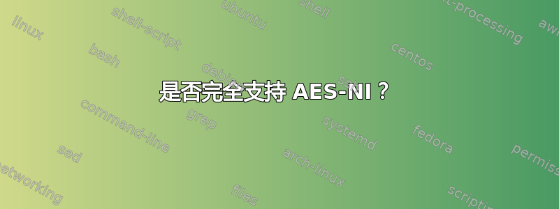 是否完全支持 AES-NI？