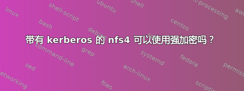 带有 kerberos 的 nfs4 可以使用强加密吗？