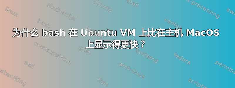 为什么 bash 在 Ubuntu VM 上比在主机 MacOS 上显示得更快？