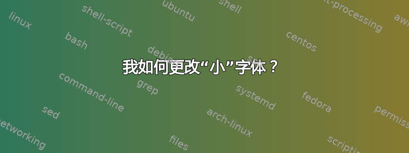 我如何更改“小”字体？