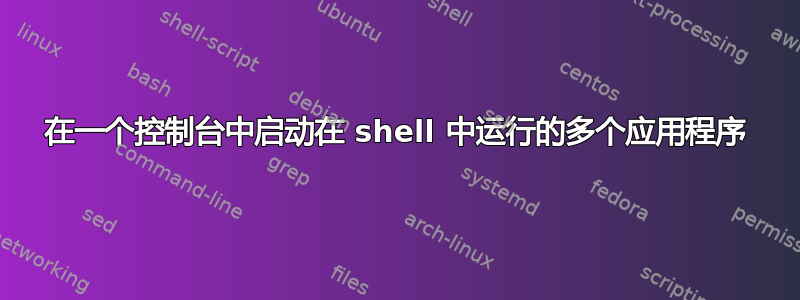 在一个控制台中启动在 shell 中运行的多个应用程序