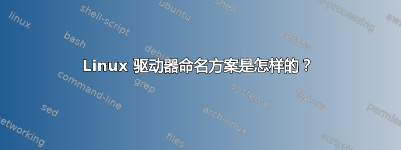 Linux 驱动器命名方案是怎样的？