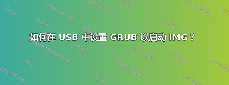 如何在 USB 中设置 GRUB 以启动 IMG？