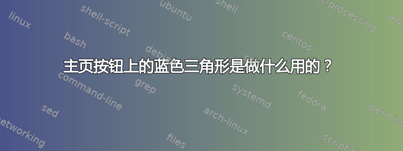 主页按钮上的蓝色三角形是做什么用的？