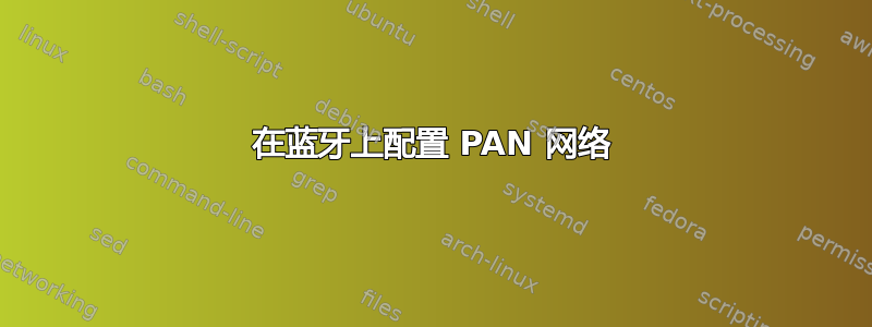 在蓝牙上配置 PAN 网络