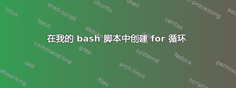 在我的 bash 脚本中创建 for 循环