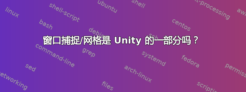 窗口捕捉/网格是 Unity 的一部分吗？