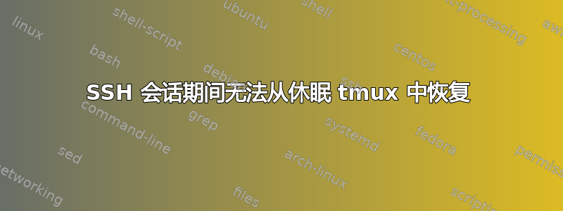 SSH 会话期间无法从休眠 tmux 中恢复