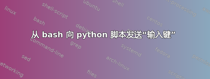 从 bash 向 python 脚本发送“输入键”