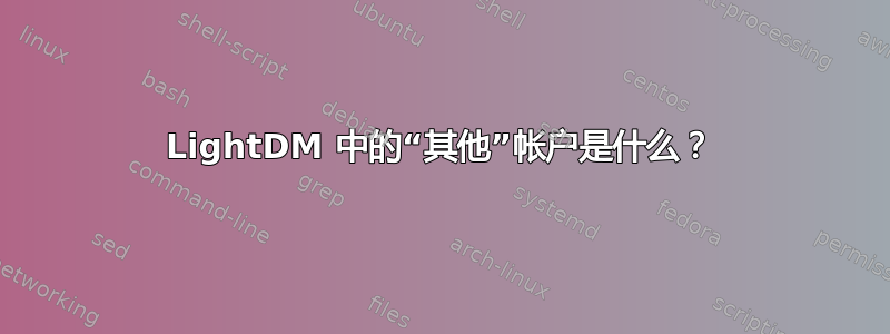 LightDM 中的“其他”帐户是什么？