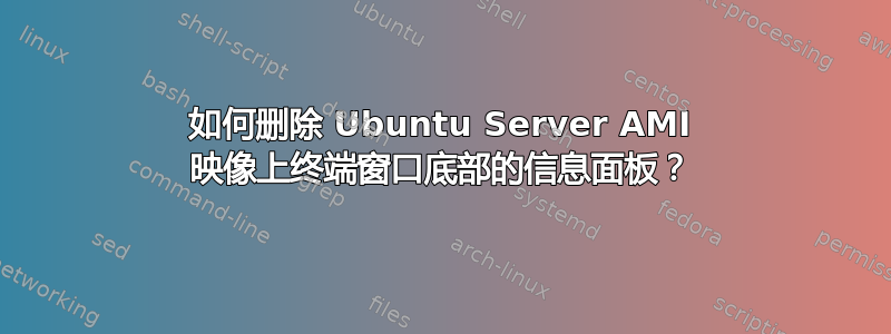 如何删除 Ubuntu Server AMI 映像上终端窗口底部的信息面板？