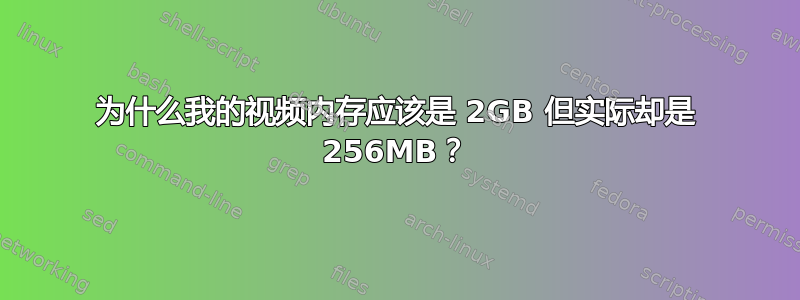 为什么我的视频内存应该是 2GB 但实际却是 256MB？