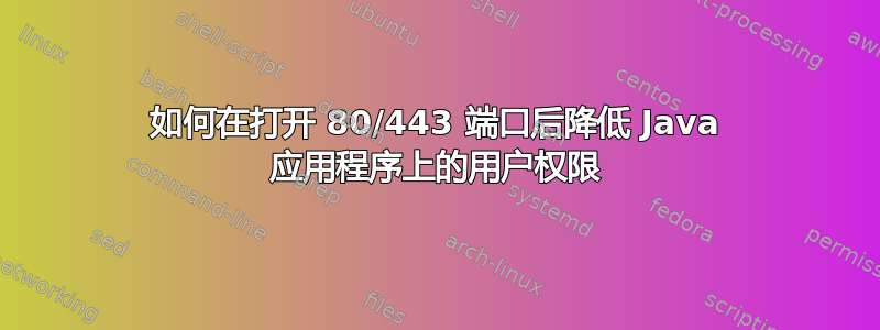 如何在打开 80/443 端口后降低 Java 应用程序上的用户权限