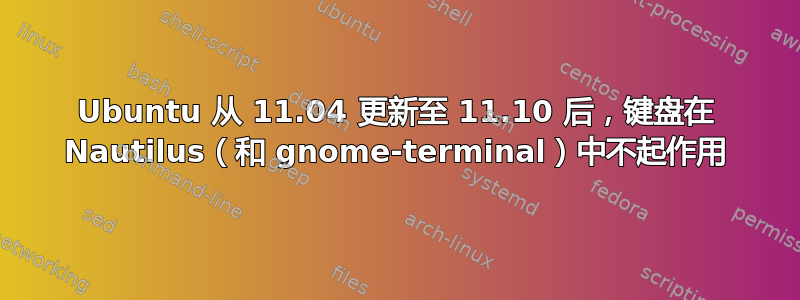 Ubuntu 从 11.04 更新至 11.10 后，键盘在 Nautilus（和 gnome-terminal）中不起作用