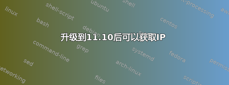 升级到11.10后可以获取IP