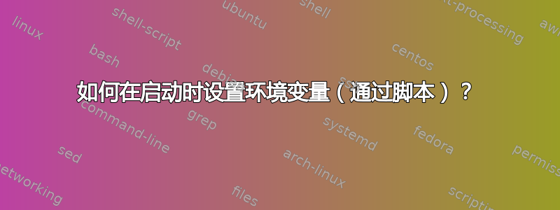 如何在启动时设置环境变量（通过脚本）？