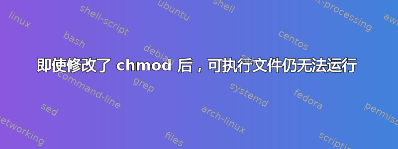 即使修改了 chmod 后，可执行文件仍无法运行