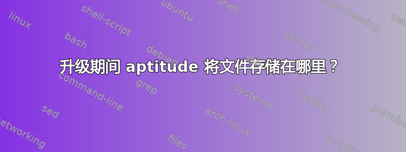 升级期间 aptitude 将文件存储在哪里？