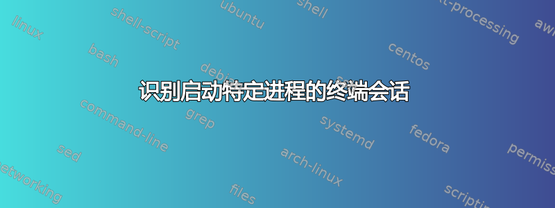 识别启动特定进程的终端会话