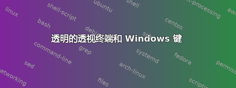 透明的透视终端和 Windows 键