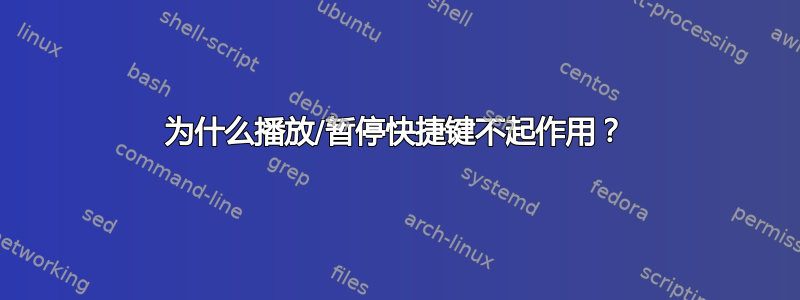 为什么播放/暂停快捷键不起作用？