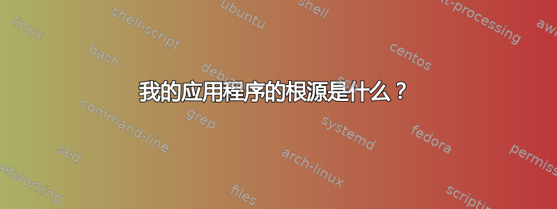 我的应用程序的根源是什么？