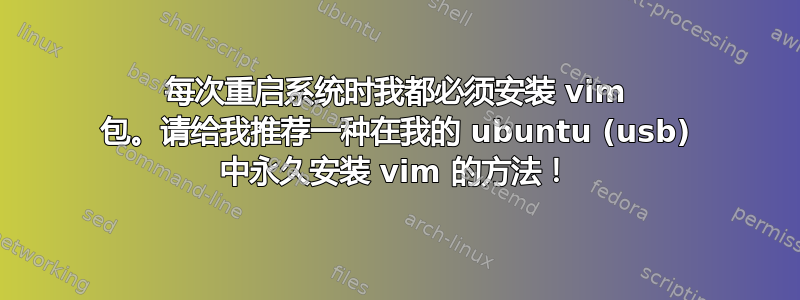 每次重启系统时我都必须安装 vim 包。请给我推荐一种在我的 ubuntu (usb) 中永久安装 vim 的方法！