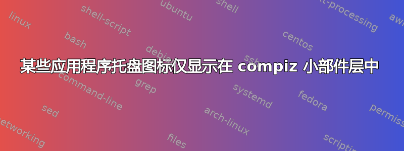 某些应用程序托盘图标仅显示在 compiz 小部件层中