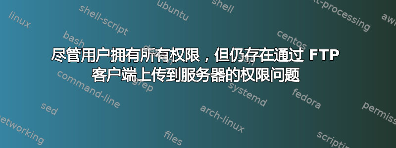 尽管用户拥有所有权限，但仍存在通过 FTP 客户端上传到服务器的权限问题