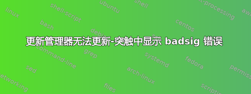 更新管理器无法更新-突触中显示 badsig 错误