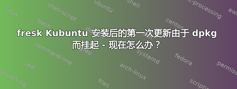 fresk Kubuntu 安装后的第一次更新由于 dpkg 而挂起 - 现在怎么办？