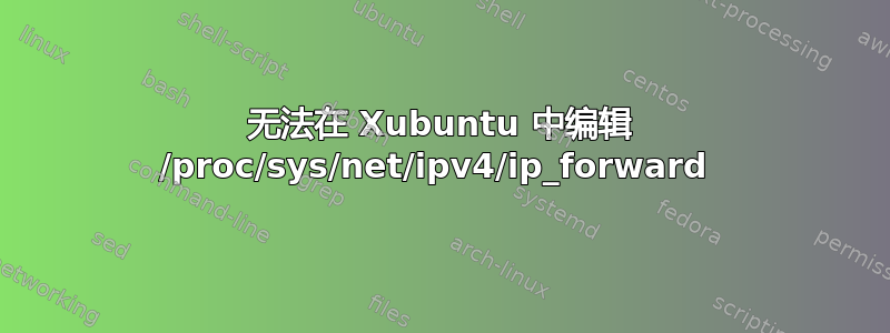 无法在 Xubuntu 中编辑 /proc/sys/net/ipv4/ip_forward 